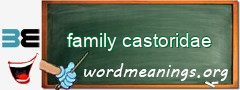 WordMeaning blackboard for family castoridae